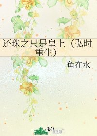 《还珠之只是皇上(弘时重生)》