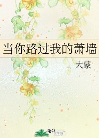 《当你路过我的萧墙》