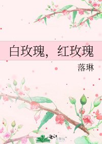 《白玫瑰,红玫瑰》