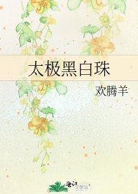 《太极黑白珠》