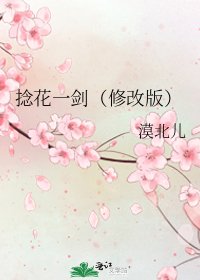《捻花一剑(修改版)》