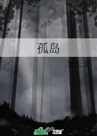 《孤岛》