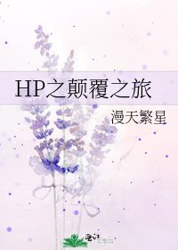 《HP之颠覆之旅》