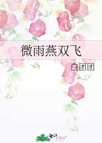 《微雨燕双飞》