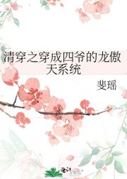 清穿之穿成四爷的龙傲天系统