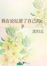 《我在论坛逆了自己的cp》