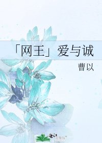 《「网王」爱与诚》