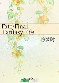 《Fate/Final Fantasy(伪综漫)》