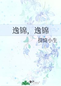 逸锦,逸锦