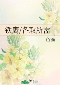铁鹰/各取所需