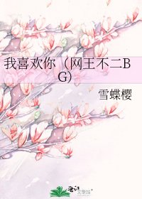 《我喜欢你(网王不二BG)》