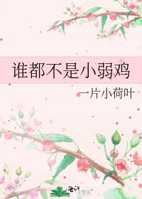 《谁都不是小弱鸡》