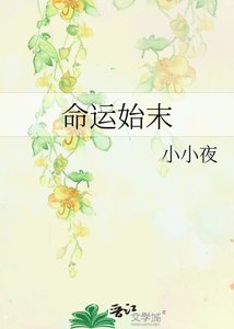 《命运始末》