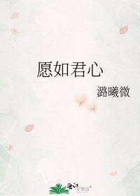 愿如君心