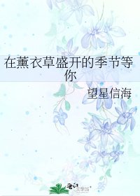 《在薰衣草盛开的季节等你》