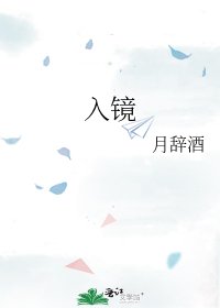 入镜
