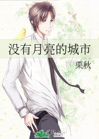 《没有月亮的城市》