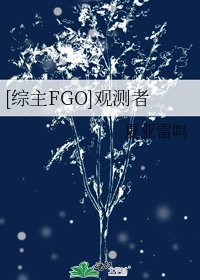 [综主FGO]观测者