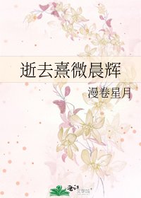 《逝去熹微晨辉》