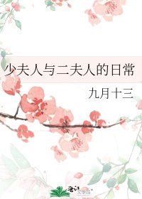《少夫人与二夫人的日常》