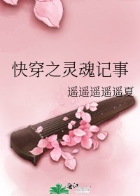《快穿之灵魂记事》