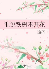 《谁说铁树不开花》