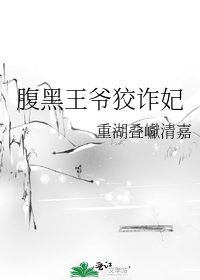 《腹黑王爷狡诈妃》
