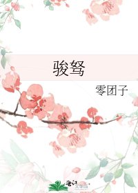 《骏驽》