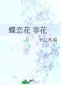 《蝶恋花 非花》