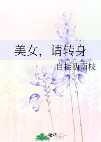 《美女,请转身》