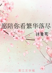 愿陪你看繁华落尽