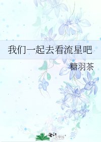 《我们一起去看流星吧》