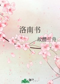 《洛南书》