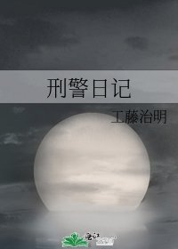 《刑警日记》