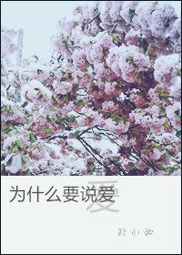 《为什么要说爱》