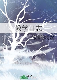 《教学日志》