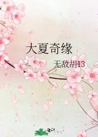 《大夏奇缘》