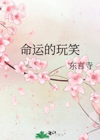 《命运的玩笑》