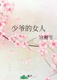 《少爷的女人》