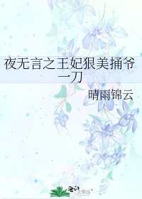 《夜无言之王妃狠美捅爷一刀》