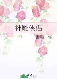 《神雕侠侣》