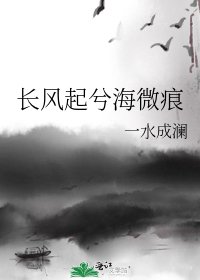 《长风起兮海微痕》