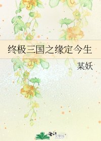 《终极三国之缘定今生》