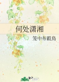 《何处潇湘》