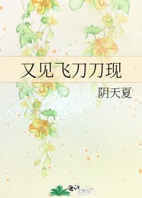 《又见飞刀刀现》