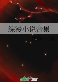 《综漫合集》