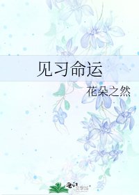 《见习命运》