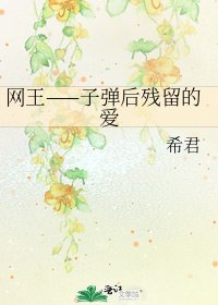 《网王——子弹后残留的爱》