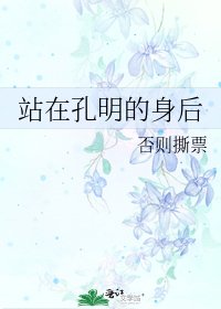 《站在孔明的身后》