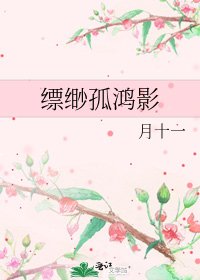 《缥缈孤鸿影》